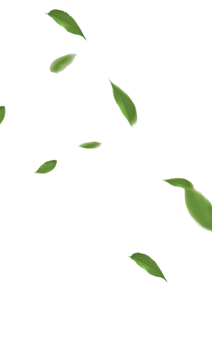 image33bot
